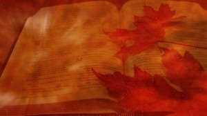 Bible And Autumn Leaves Still Background | Videos2Worship: Motion