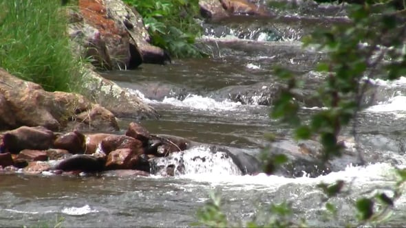 Read more about the article River Of Life Loop: Worship Motion