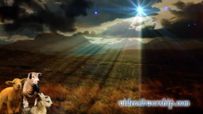 Read more about the article Lambs and Star: Free Christmas Background