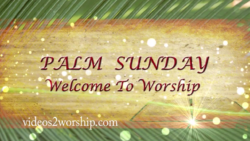 Read more about the article Palm Sunday Welcome To Worship