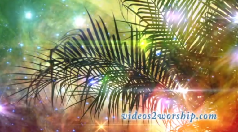 Read more about the article Palm Sunday: Palm Branch And Stars Motion