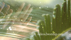 Read more about the article Hosanna Palm Sunday Background Loop