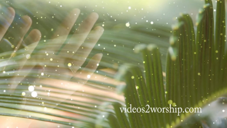 Read more about the article Hosanna Palm Sunday Background Loop