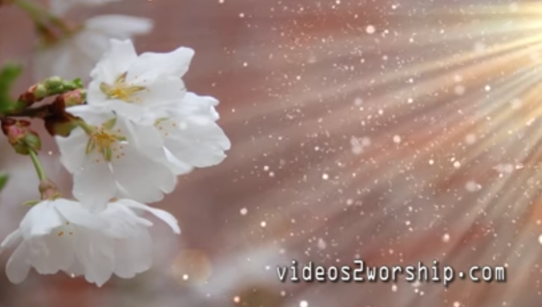 Read more about the article Mother’s Day Spring Flowers Background