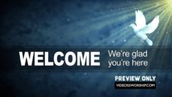Read more about the article White Dove Pentecost Church Welcome