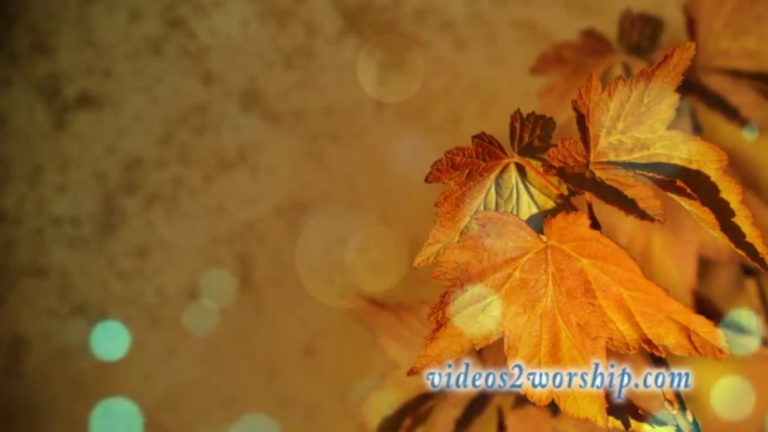 Read more about the article Autumn Motion Graphics Background