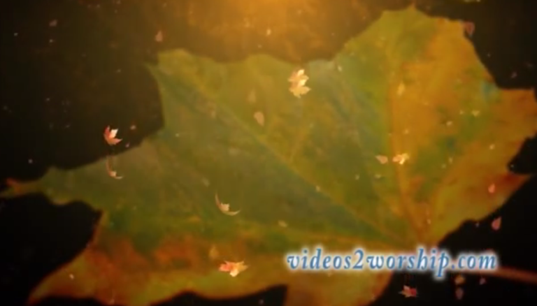 Read more about the article Leaf Worship Video Background