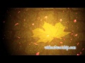 Autumn Falling Leaves Worship Motion Loop