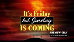 Read more about the article It Is Friday But Easter Sunday Is Coming