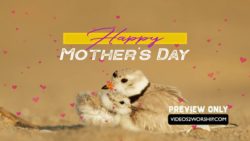 Read more about the article Still: Happy Mom Day
