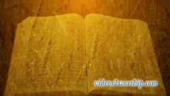 Read more about the article Thanksgiving: Bible and Wheat Background