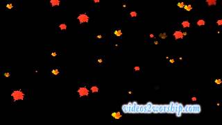 Falling Leaves Free Motion Backdrop Loop