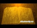 Bible and Wheat Video Background