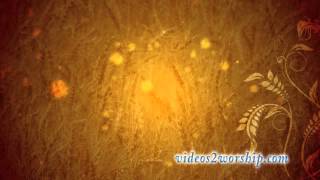 Thanksgiving Wheat Motion Loop