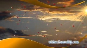 Read more about the article Rose Petals And Golden Sunset