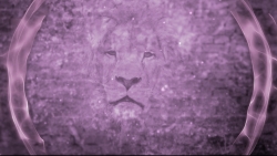 Lion Worship Motion Video