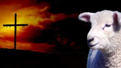 Read more about the article Lamb And Cross Easter Background