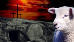 Read more about the article Empty Tomb And Lamb Background