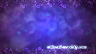 Beautiful Floral Video Background