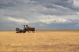 Read more about the article Old Combine Autumn Slide