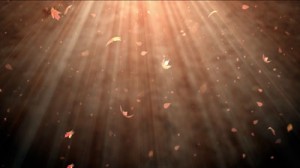 Read more about the article Falling Leaves Still Background