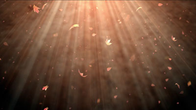 Read more about the article Falling Leaves Still Background