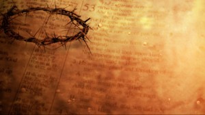 Read more about the article Still Crown Of Thorns Background