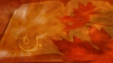 Read more about the article Autumn Bible And Flourishes