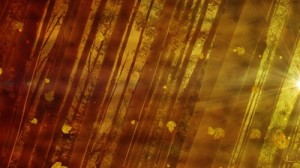 Read more about the article Aspen Forest Still Background