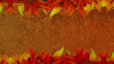 Read more about the article Autumn Leaves And Dust Particles Slide