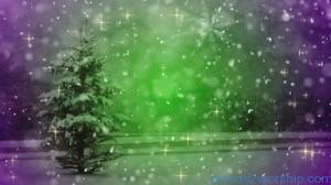 Read more about the article Winter Wonderland Christmas Still