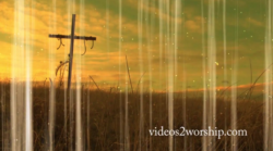Read more about the article Passover Cross In The Field Motion