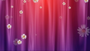 Read more about the article Curtain And Flowers Still Worship Slide