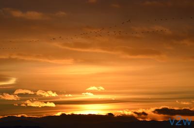 Read more about the article Amazing Sunset Still Background Slide
