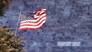 Read more about the article Waving American Flag Evergreen Branches
