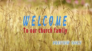 Read more about the article Welcome Background: Tall Grass Motion Loop
