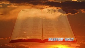 Read more about the article Golden Sunset And Dust: Bible Motion Worship