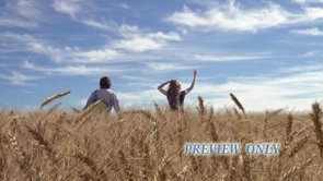 Read more about the article Praise And Worship In Wheat Field