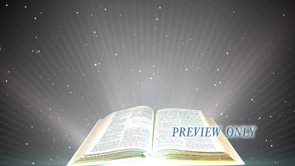 Read more about the article The Bible Word Of God Worship Motion