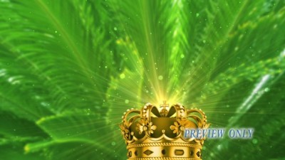 Read more about the article Palm Sunday: King’s Crown Motion Video