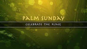 Read more about the article Palm Sunday Still Title Background