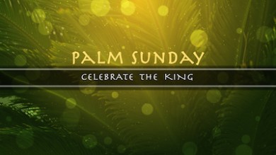 Read more about the article Palm Sunday Still Title Background
