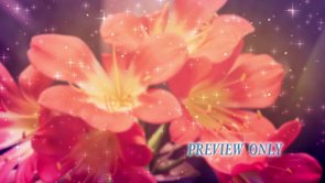 Read more about the article Mother’s Day Worship Background