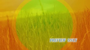 Read more about the article Summer Grass Nature Motion Background