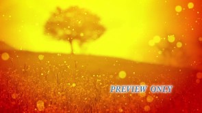 Read more about the article Welcome Still Image: Autumn Golden Tree Of Life