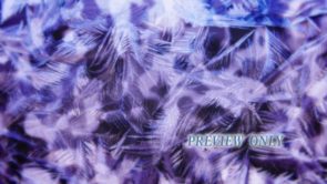 Read more about the article Winter Frost Still Background Image