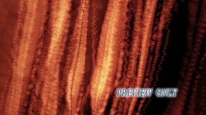 Read more about the article Abstract Snakes Motion Background