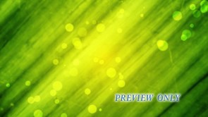 Read more about the article Green Joy Motion Background