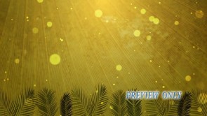 Read more about the article Palm Sunday Slide Background