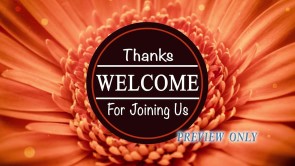 Read more about the article Floral Welcome Motion For Summertime